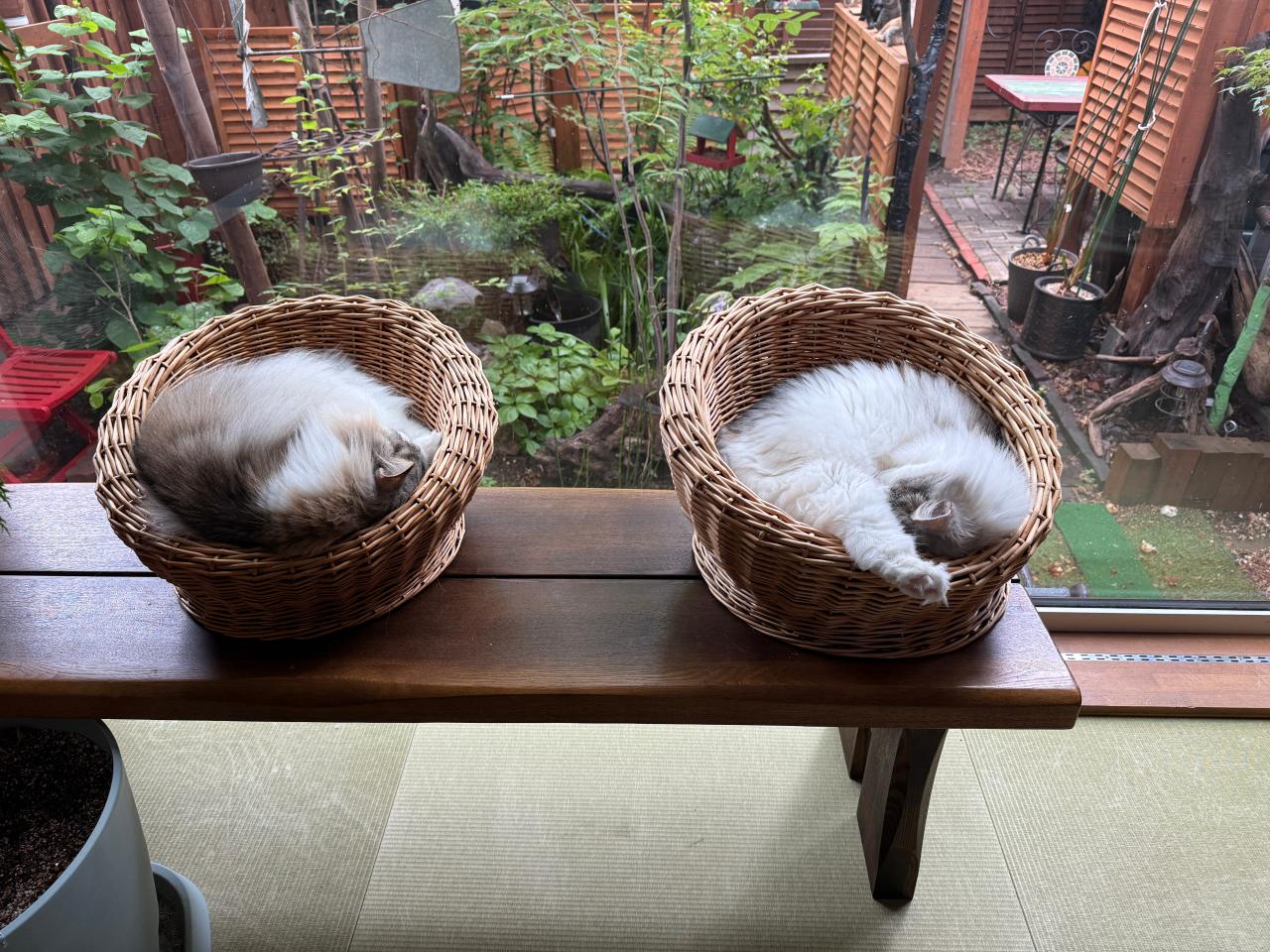 ちょっと焦ったね!
