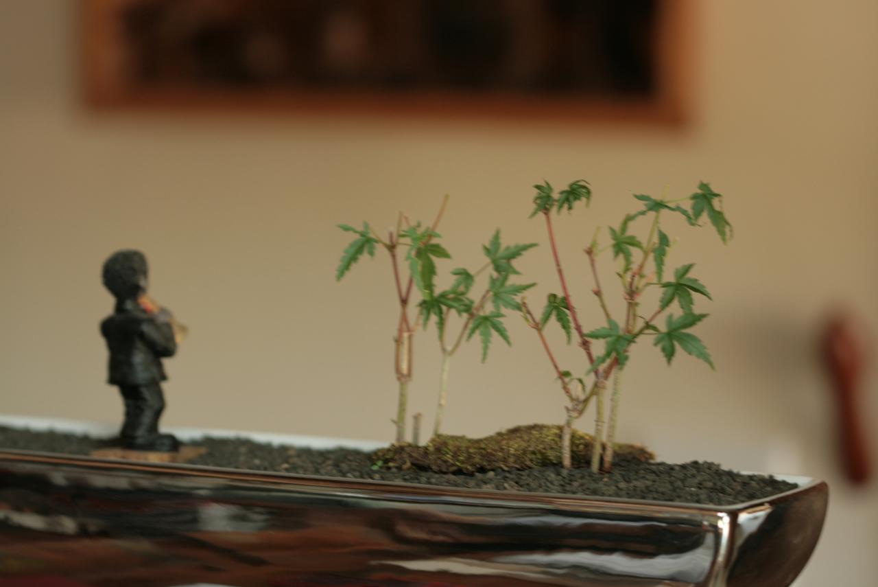 「この素晴らしき世界」が聴こえる日を